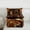 Brown, variant on Manfei Teens Western Cowboy Cowgirl 2pcs Bedding Comforter Set,Rustic Farmhouse Twin Comforter Sets,Retro Vintage Breathable Bedding Set,Lightweight Room Decor,Reversible