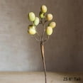 thumbnail image 6 of Artificial Fruit Pipa Fruit Stem 26" Tall Silk Plant, 6 of 6