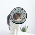 thumbnail image 1 of Pugs Dog Soft Cat Dog Recovery Collar Adjustable Cat Cone Wound Healing Protective After Surgery for Pet Cone, 1 of 7