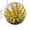 D, variant on Window Hanging Ornament, Acrylic Puzzle Light Catcher Pendant Decor, Sunlight Diffusing Window Accent, Artistic Piece for Home, Living Room, Window & Wall Use