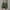 Army Green, variant on Cethrio Boys Cargo Shorts Size 14-16 T, Elastic Waist Drawstring Loose Athletic Summer Shorts Black