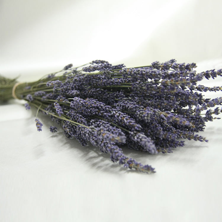 80pcs Dried Flowers Light Purple Lavender English Blue Dried