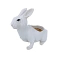thumbnail image 4 of Macetero de animales, florero de con orificio de drenaje, maceta de conejo para balcón Blanco, 4 of 8
