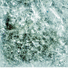 Edible Glitter - White - 1 oz.