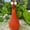 Orange, variant on Creative Long Neck Rooster Resin Statue, Funny Chicken Sculpture for Lawn Yard Garden Home Office Decor