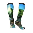 thumbnail image 5 of Lsque Bluey Printed Crew Socks Men's Women's LightWeight Thin Casual Calf Socks ,Knee High Socks,Cotton Socks, 5 of 9