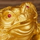 thumbnail image 5 of de 2 -Leg / Bagua Coin Frog Fortune Feng Shui 5x4.5x3.8cm Golden \u0026 Copper, 5 of 9