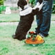 thumbnail image 3 of KAKOWELY Juguete interactivo de peluche para perros, juguete para esconder y buscar, juguete chirriante para cachorros, juguete de enriquecimiento para perros., 3 of 5