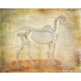 thumbnail image 2 of Murdock, Ramona 32x26 Black Ornate Wood Framed with Double Matting Museum Art Print Titled - Horse Anatomy 301, 2 of 4