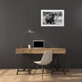thumbnail image 3 of Peaco, Jim 24x17 White Modern Wood Framed Museum Art Print Titled - Grizzly Bear near Obsidian Creek, Yellowstone National Park, 3 of 4