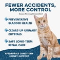 thumbnail image 4 of BestLife4Pets Cat UTI, Kidney & Bladder Support - Natural Supplement for Cats Renal Health and Bladder Control - 400 Pills, 4 of 16