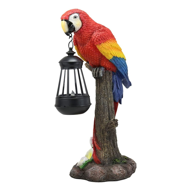 Scarletts store parrot supplies