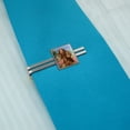 thumbnail image 2 of Wizard of Oz Lion Character Square Tie Bar Clip Clasp Tack- Silver or Gold, 2 of 6