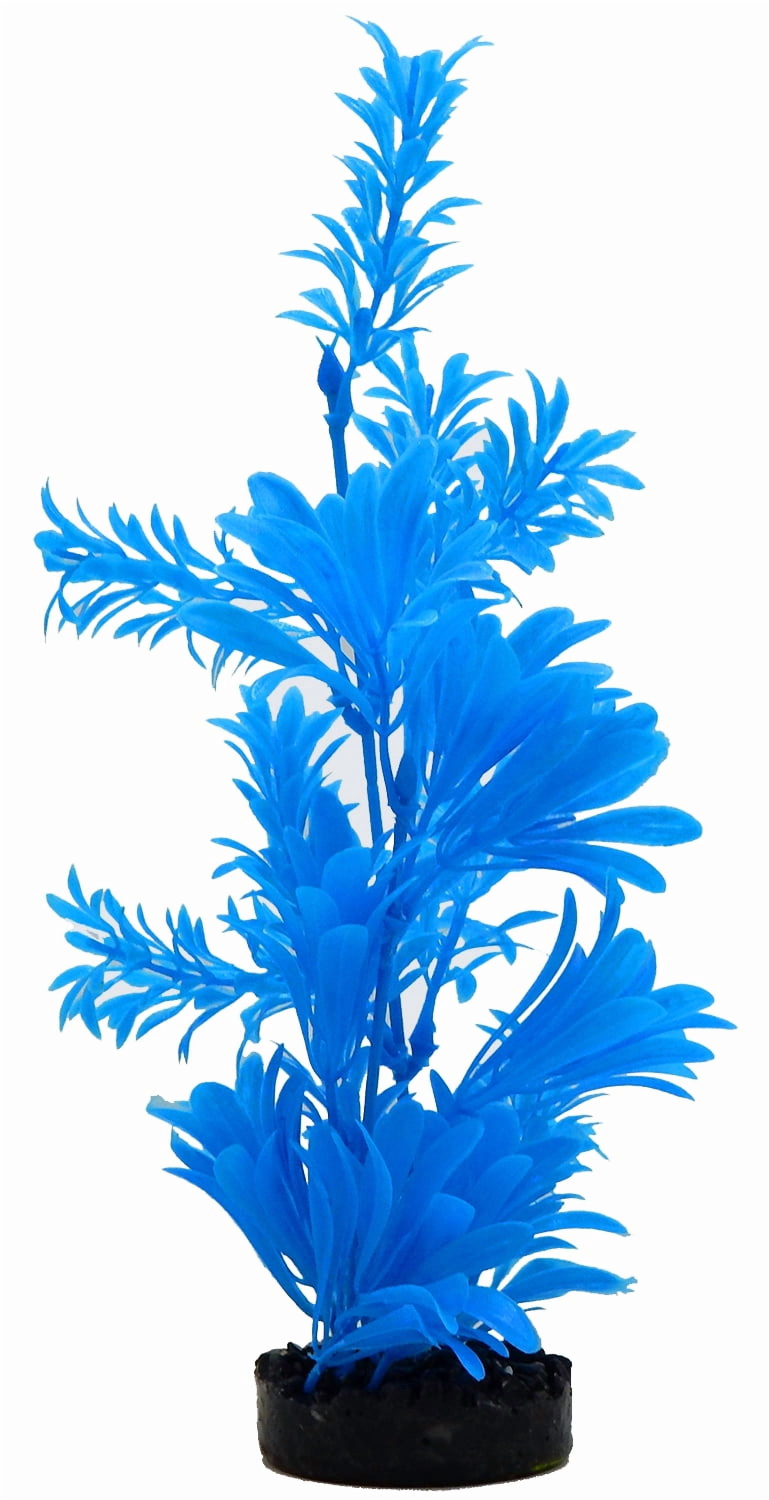 Aqua Culture Water Bouquet Aquarium Plant - Bright Color