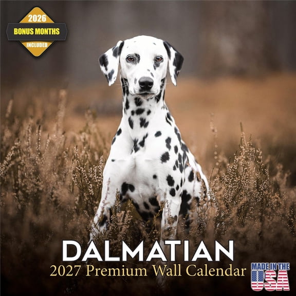 MegaCalendars 2026-2027 Dalmatian Wall Calendar, 12x12 Bonus Month Monthly Planner, Made in USA