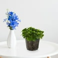thumbnail image 6 of Zcyifa Clear Orchid Pot 6Pcs 5" Plastic Planter for Indoor/Outdoor, 6 of 10