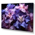 thumbnail image 2 of Designart "Serene Midnight: Unveiling Purple Irises" Irises Canvas Wall Art, 2 of 7