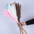 thumbnail image 5 of HEVIRGO 15Pcs/Bundle Small Pampas Grass Ornamental Desktop Decor Dried Flower Birthday Party Artificial Reed Bouquet for Garden(Red ), 5 of 10