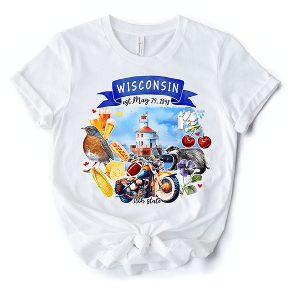Artistic Wisconsin State Themes and Landmarks T-Shirt, Tee for History and Travel Lovers