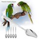 thumbnail image 5 of Cuchara para loros, 5 cucharas para leche en polvo para loros, cuchara inoxidable, diseño fácil de usar, 5 of 8