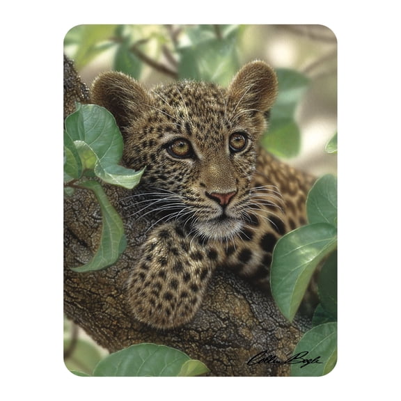3D LiveLife Magnet - Tree Hugger from Deluxebase. Lenticular Wild Animal Refrigerator Magnet. Decorative 3D Cougar Flat Magnets. Cute Small Magnets for Fridge, Dishwasher and Whiteboard.