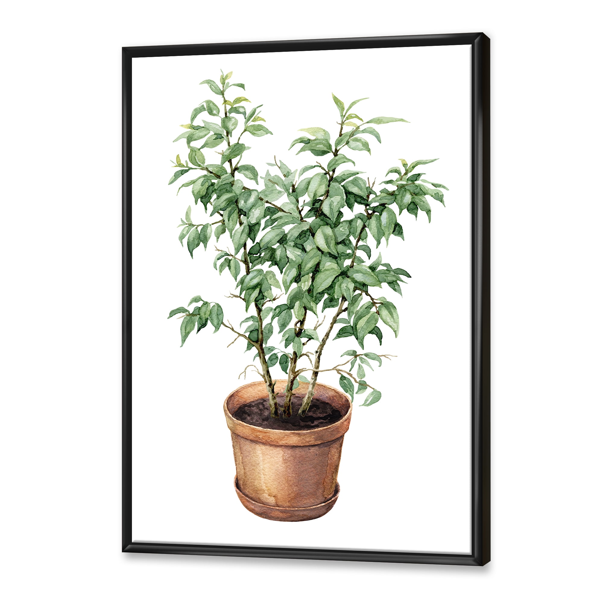 Designart 'Ficus Benjamina Plant In Clay Flowerpot' Traditional Framed Canvas Wall Art Print