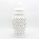 thumbnail image 4 of Tarro de Jengibre Perforado de China con Tapa, Decoración de Cocina, Decoración de Mesa, Pieza Decorativa Esmaltada para El Hogar, Arreglo F Talla L Baoblaze tarro de jengibre, 4 of 8
