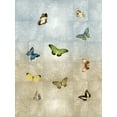 thumbnail image 2 of Blake, Madeline 19x24 White Modern Wood Framed Museum Art Print Titled - Butterflies Meet Up I, 2 of 4