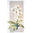 thumbnail image 3 of Kumorek, Krysztov 12x18 Black Modern Framed Museum Art Print Titled - Orchid, 3 of 5