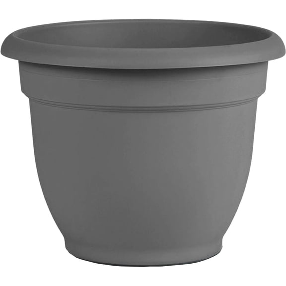 Bloem AP06908 Ariana Self Watering Planter 6", Charcoal Gray
