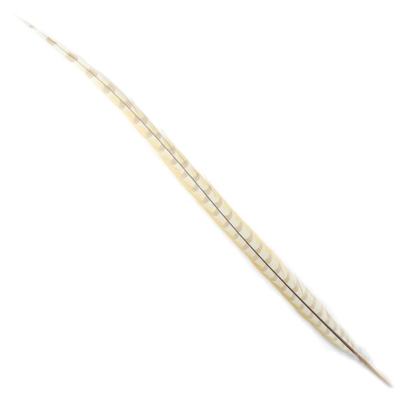 ZUCKER® 1 pc 30-40" Bleached / Dyed Pheasant Tail Feather Wedding Decor - Ivory