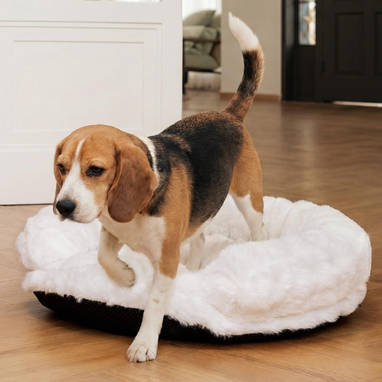 Dog Bed Couch Sofa For Small Medium Dogs And Cats Round Plush Pet Washable Puppy With Removable Cover Furniture Indoor Pets 30 X 30 9 White