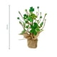 thumbnail image 2 of Decoración para El Festival Irlandés de Bayas Verdes con Estacas de Hierba de Hojas Simuladas, 2 of 4