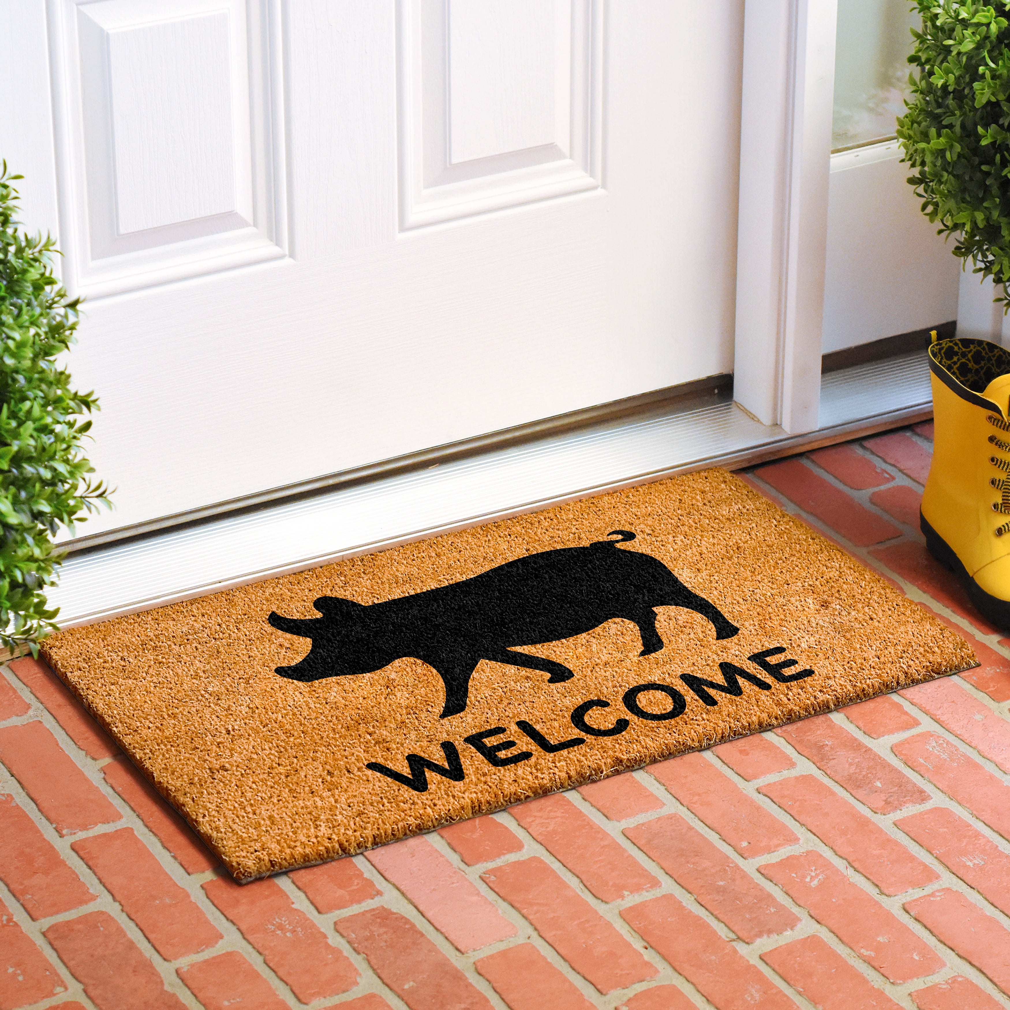 Calloway Mills 107243048 Piggy Doormat, 30 x 48 in.