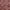 Maroon, variant on oneOone Cotton Cambric Tawny Brown Fabric Tropical Dress Material Fabric Print Fabric By The Yard 42 Inch Wide