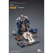 Dark Source Trading - Joytoy WH40K - Bladeguard Veterans 03 1/18 Figure (Net) [COLLECTABLES] Figure, Collectible