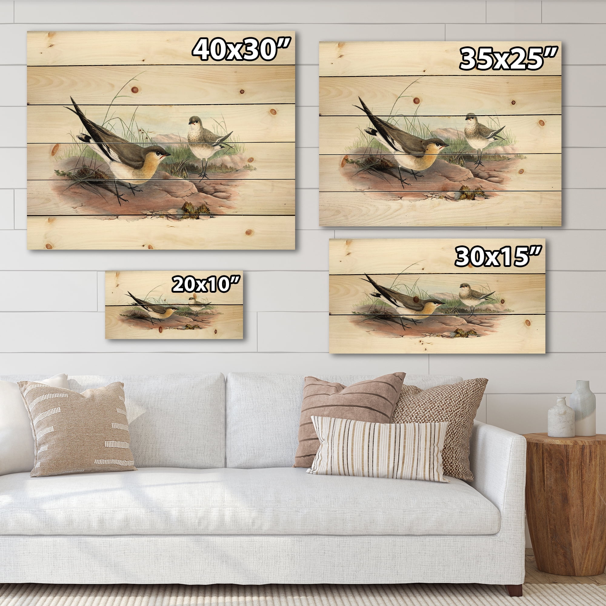 Designart 'Ancient Bird Illustration II' Farmhouse Print on Natural Pine Wood