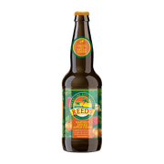 Reed's Harvest Spiced Apple Cider 16.9 fl oz Seasonal Crimp Lid Gluten Free, Real Ginger