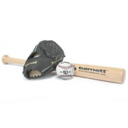 BGBW-1 baseball kit, senior, ball glove wooden bat (BB-W 32, JL-120, TS-1)