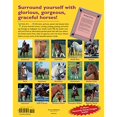 thumbnail image 2 of The Horse Breeds Poster Book, 2 of 3