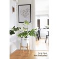 thumbnail image 2 of FFIY Plant Stand Mid Century Wood Flower Pot Holder (Plant Pot NOT Included) Modern Potted Stand Indoor Display Rack Rustic Decor, Up to 10 Inch Planter, Brown, 2 of 7