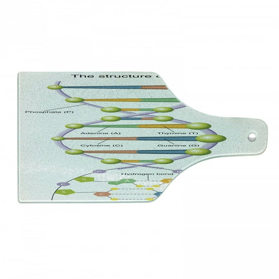 Science Cutting Board, Colorful Structure of DNA Genetic Code Elements Nucleotides Scientific Study, Decorative Tempered Glass Cutting and Serving Board, Wine Bottle Shape, Multicolor, by Ambesonne