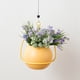 thumbnail image 3 of Jardinera colgante de riego automático, soporte para , s de diseño único para plantas de interior, Limon amarillo Baoblaze canasta de maceta colgante, 3 of 8