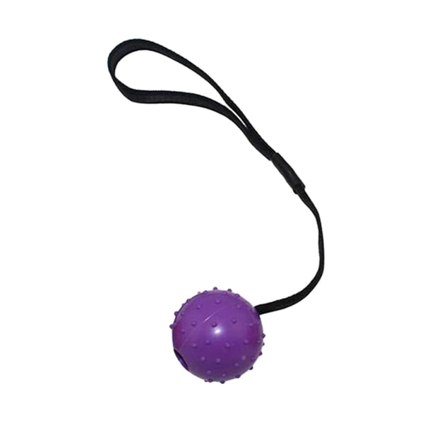 Greeniant Juguetes Bola de goma Correa Cuerda para la muñeca Agarre de mano Entrenamiento para morder Dispensación Herramientas para aliviar el Suministros para perros 5cm morado