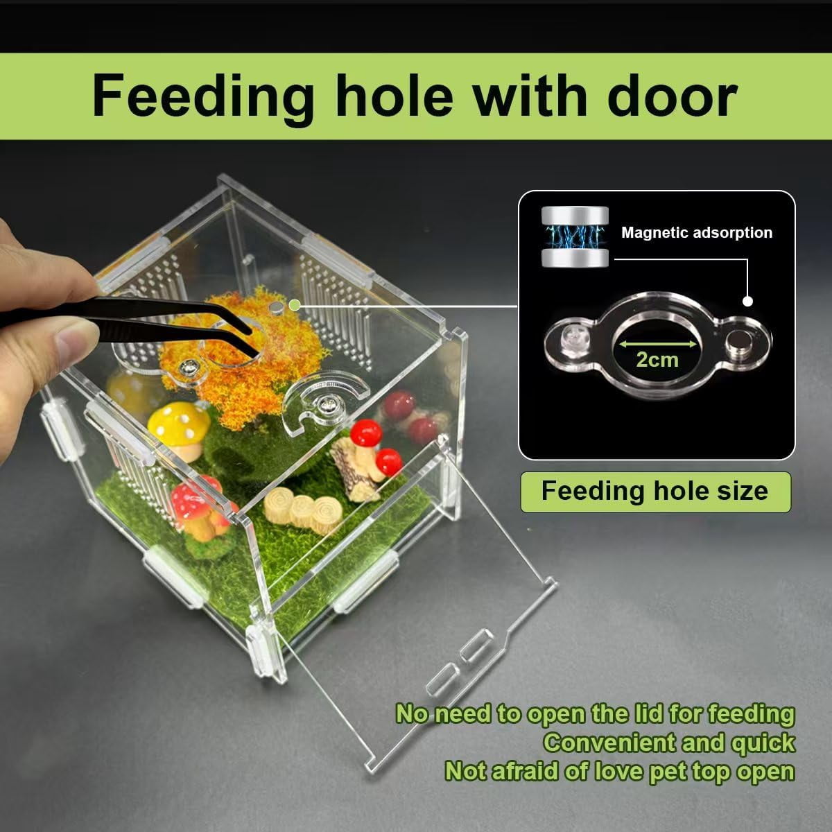 Jumping Spider Enclosure, 4" X 4" X 4" Acrylic Spider Habitat, Front Opening Small Reptile Terrarium with Matrix Ventilation Holes & Feeding Holes, for Jumping Spider Snail Insect