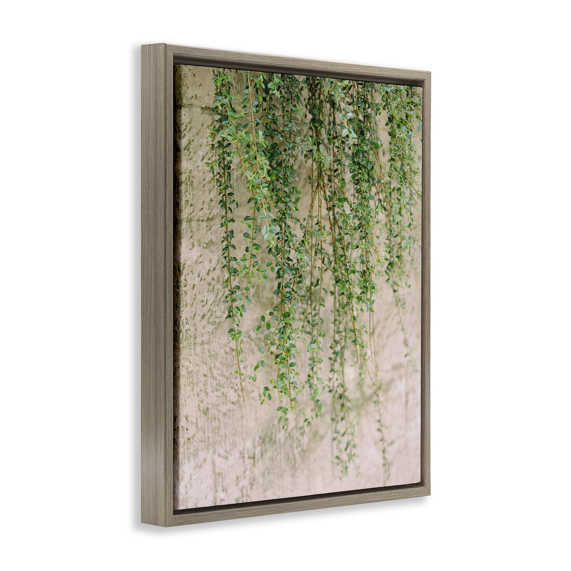 Stupell Industries Hanging Ivy Vines Botanical & Floral Photography Brown Floater Framed Art Print Wall Art, 17 x 21