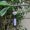 A4, variant on Wuffmeow Japan Style Handpaint Sakura Glass Wind Chimes Wind Bells Home Garden Office Hanging Decorations Beautiful Hope