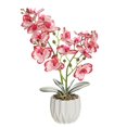 thumbnail image 1 of Simulación Maceta Planta Vía Arte Orquídea Paquete de arte Decoración Decoración del hogar Sala de estar Mesa de centro Decoración Banban ShuxiuWang 8390613600165, 1 of 1