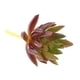 thumbnail image 1 of Flor Artificial Planta De Plástico Follaje Decoración De en hogar Artesanía Favor, 1 of 7