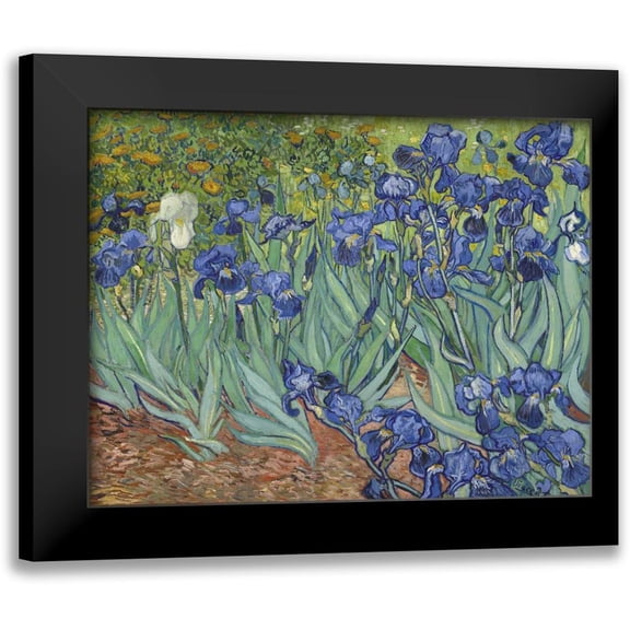 Van Gogh, Vincent 14x12 Black Modern Framed Museum Art Print Titled - Irises, 1889